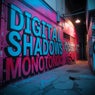 Digital Shadows