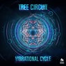 Vibrational Cycle