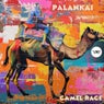 Camel Race