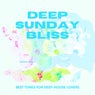 Deep Sunday Bliss (Best Tunes For Deep-House Lovers), Vol. 2