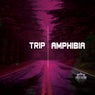 Trip (Original Mix)