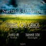 Fields of Grace (feat. Darklight) [Special Release]