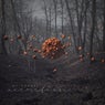 Accretion