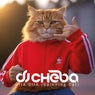 Oiia Oiia (Spinning Cat)