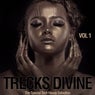 Tracks Divine, Vol. 1 (The Special Tech House Selection)