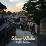 Sleep Wake
