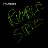 RUMBLE STRIPS