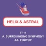 Surrounding Symphony / Fuktup