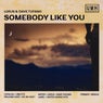 Somebody Like You