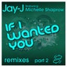 If I Wanted You Remixes Pt. 2