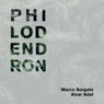 Philodendron