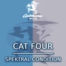 Cat Four