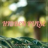 Hidden Pulse