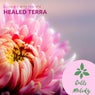 Alleviate With Thai Spa