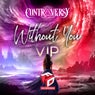 Without You (VIP)