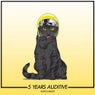 5 Years Auditive
