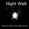 Night Walk (Electronic beats for the nightly journey)