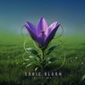 Sonic Bloom