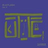 In a Flash, Vol. 17