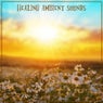 Healing Ambient Sounds
