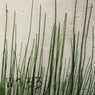 Dub till samtliga EP