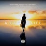 A Better Life (feat. Patricia Curcio)