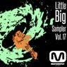 Little Big Sampler, Vol. 17