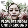 Flowers from Underground