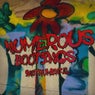 Numerous Bootings Remix (Instrumental)