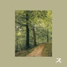 Forest Walk