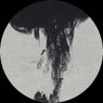 Ciclo EP