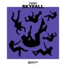 Skyfall (Extended Mix)