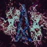 Remixes From The Other Side (Part II)