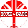 House & Bass, Vol. 12