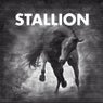 Stallion Session #1