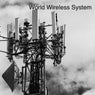 World Wireless System