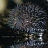Tsi?t lau tsui: Experimental Sound Studio, Vol. 1