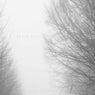 BRAIN FOG