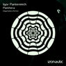 Panthera (Stygmalibra Remix)