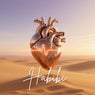 Habibi (Ecstatic Signal Edit)