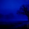 empty dreams