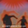 Something In the Air