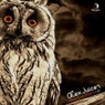 Bustin Doors EP