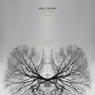 Your Mind Incl. Pablo Luque, Joon Davies Remixes