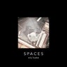 Spaces (Special Edition)