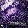Lavandula Villa (Sampler 1)