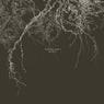 Tales of Roots