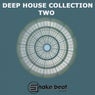 DEEP HOUSE COLLECTION TWO
