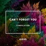 Can´T Forget You