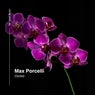 Orchid